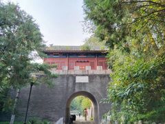 -云岗森林公园