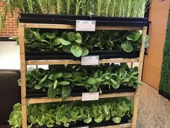 -后宫私房菜(汇客美食娱乐广场店)