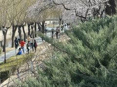 -元大都城垣遗址公园