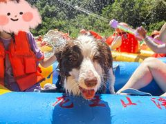 -安吉龙王山峡谷漂流