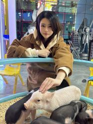 -神奇动物撸宠馆·羊驼·小浣熊·异宠(豫园店)