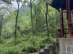 -西岭雪山大飞水景区