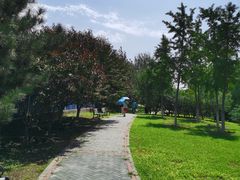 -永定河休闲森林公园