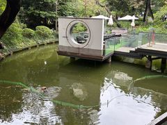 -上海瑞金洲际酒店