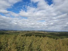 -塞罕坝国家级自然保护区