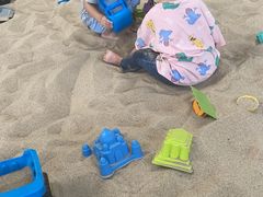 -朝阳公园游乐园