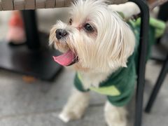 -wineapp葡萄酒餐吧(外滩金融中心店)