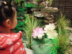 -钵家大院·地道湖北菜(江夏·大花岭店)