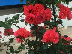 android_upload_pic-蘑统田下·野生菌火锅