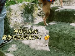 -藏龙百瀑风景区