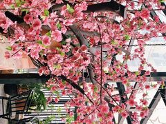 -湘邻呷铺·田园家宴(汉基广场店)