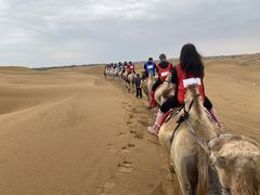 -银肯塔拉沙漠生态旅游景区