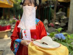 -白家大院·王府宫廷菜(苏州街店)