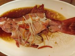 -春晖园度假酒店温泉