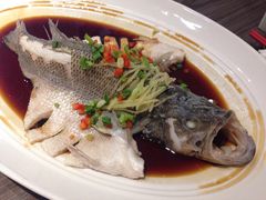 清蒸鲈鱼-眉州东坡(团结湖店)