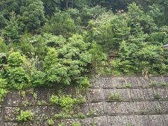 -滴水洞景区