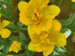 -长春公园(普阳街道)