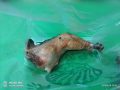 -大益烤鸡