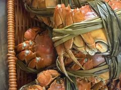 -乡乐园蟹庄·阳澄湖农家乐