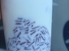 -萌萌牛紫米露(烟台大学店)