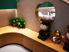 -飞行喵MR PILOT|猫舍·猫咖(静安大融城店)