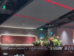 -捞王猪肚鸡火锅(金华义乌之心店)