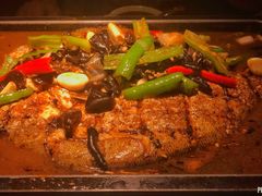 海鲈鱼-炉鱼(萧山万象汇店)