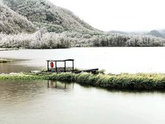 -大九湖