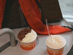 -DIP in GELATO(富民路店)