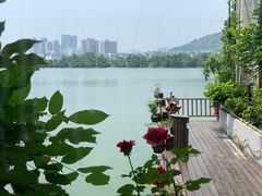 -东湖食堂·湖景餐厅•会议