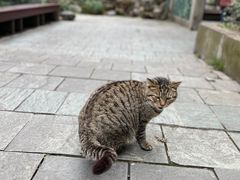 -人民公园-相亲角