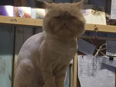 -小时光咖啡馆(开森度假森林店)