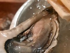 -斯普汇生蚝牛排馆(中骏世界城店)