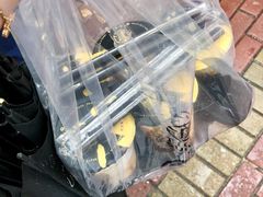 -老虎堂黑糖专壳 (尖沙咀乐道店)