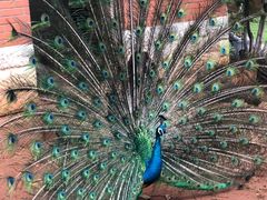 -昆明动物园