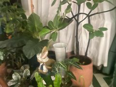 -Thai Basil罗勒叶泰式餐厅(时代天街店)