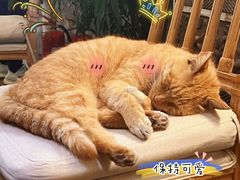 -Vanillacafe香草咖啡(银海大世界店)
