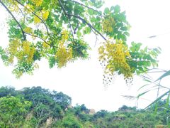 -火炉山森林公园