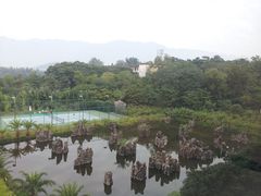 20121209_085344-肇庆奥威斯酒店