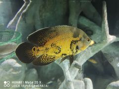 -福州罗源湾海洋世界旅游区