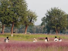 -汉长安城未央宫国家考古遗址公园