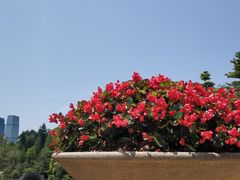 -云溪植物园