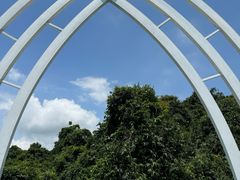 -亚龙湾热带天堂森林公园