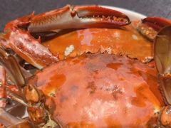 -连鹭海鲜·海肠捞饭·海胆饭(星海店)