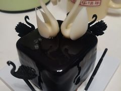 -BLACKSWAN黑天鹅(环球店)