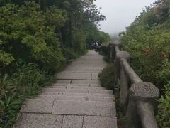 -梧桐山风景名胜区