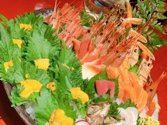 三文鱼-初花·日本料理