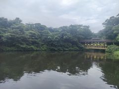 -济州森林小火车生态公园