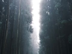 -山王坪喀斯特国家生态公园