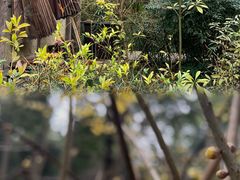 -成都杜甫草堂博物馆